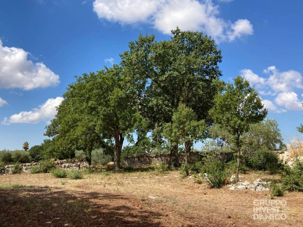 immagine annuncio 6 di 7