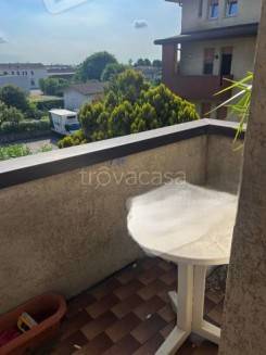 immagine annuncio 8 di 14