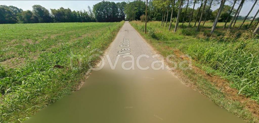 immagine annuncio 3 di 12