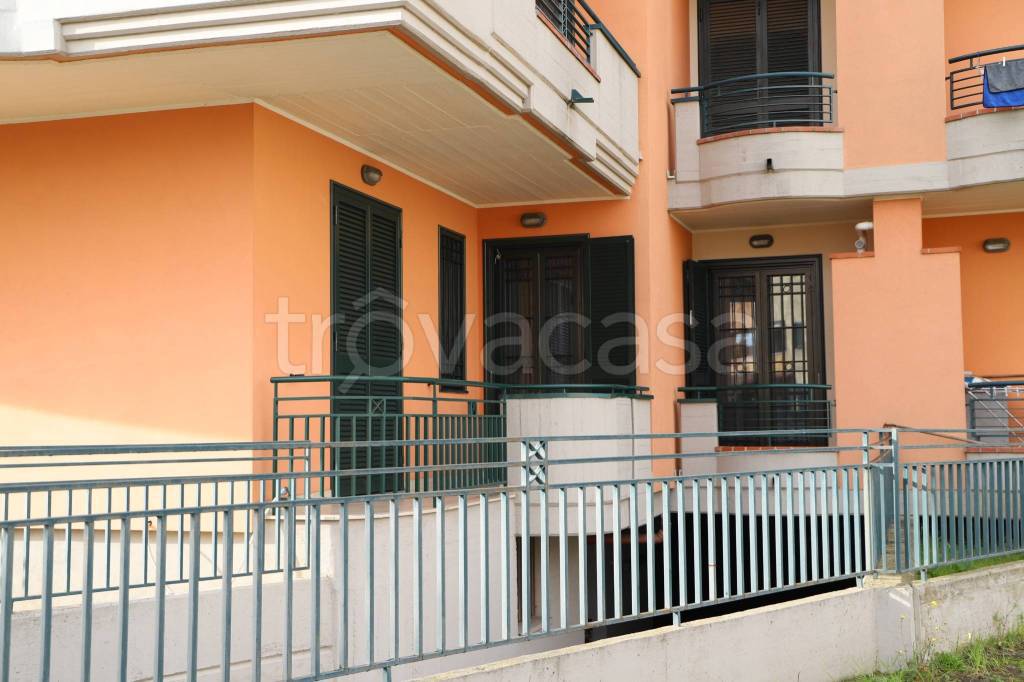 immagine annuncio 4 di 15