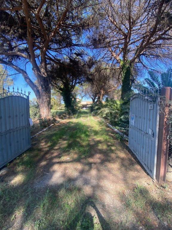 immagine annuncio 10 di 13