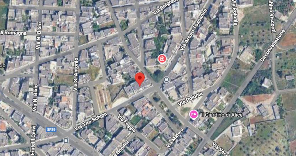 immagine annuncio 10 di 12