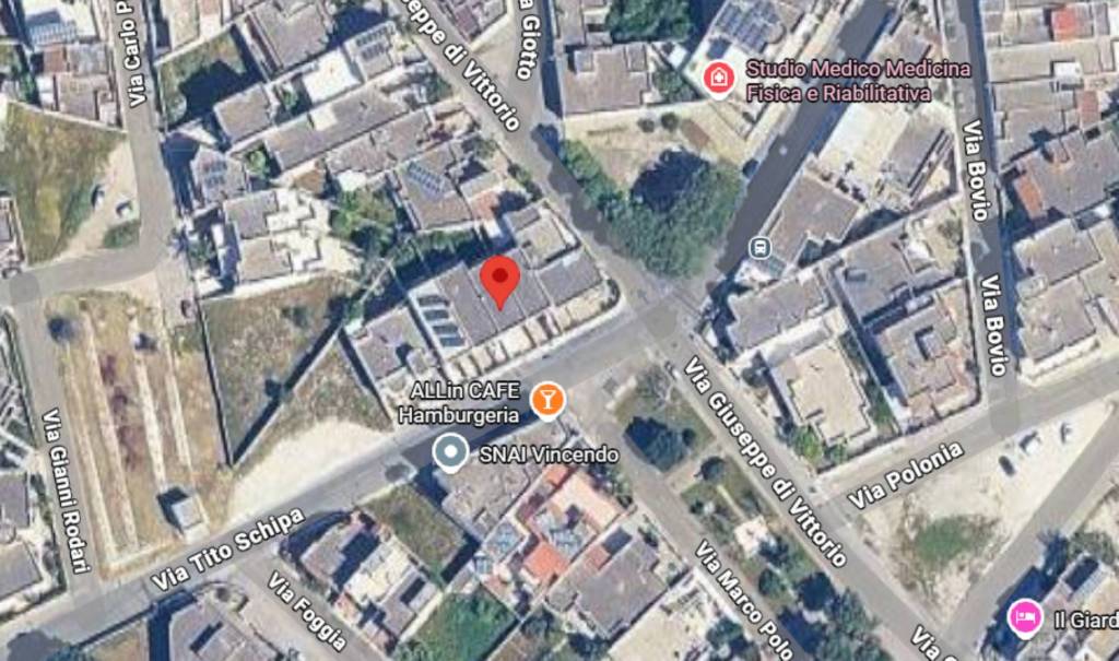 immagine annuncio 11 di 12