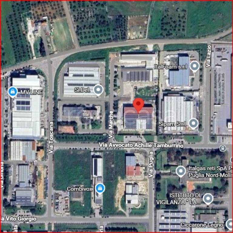 immagine annuncio 11 di 12