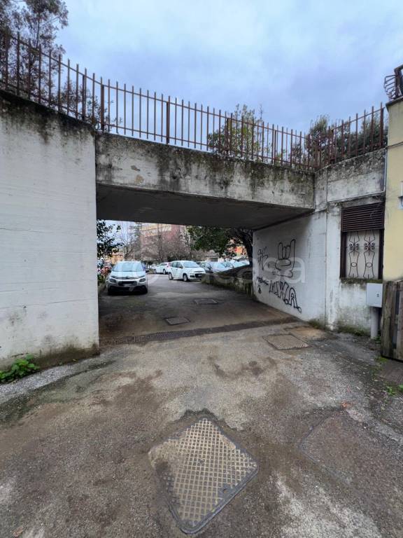 immagine annuncio 7 di 14