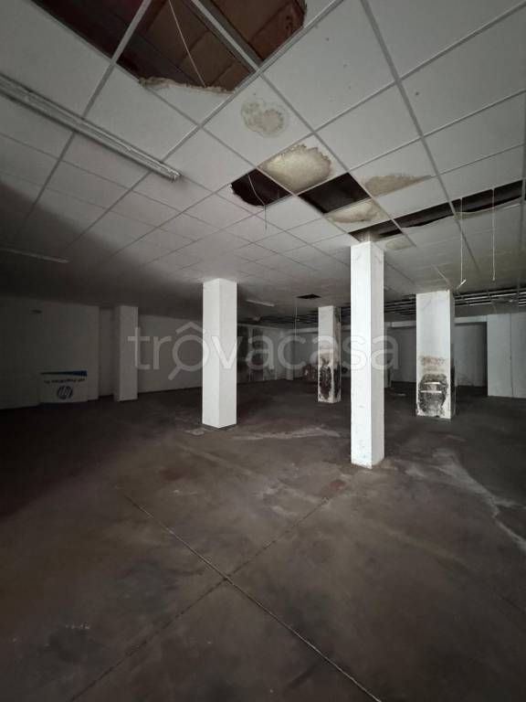 immagine annuncio 9 di 14