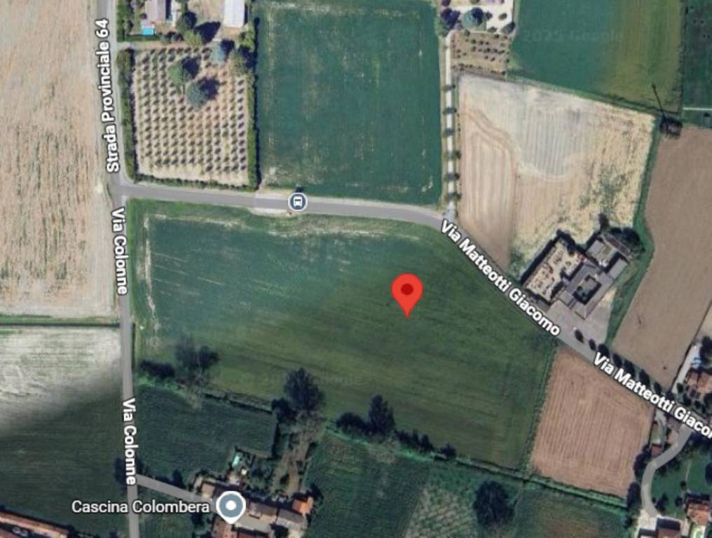 immagine annuncio 2 di 12