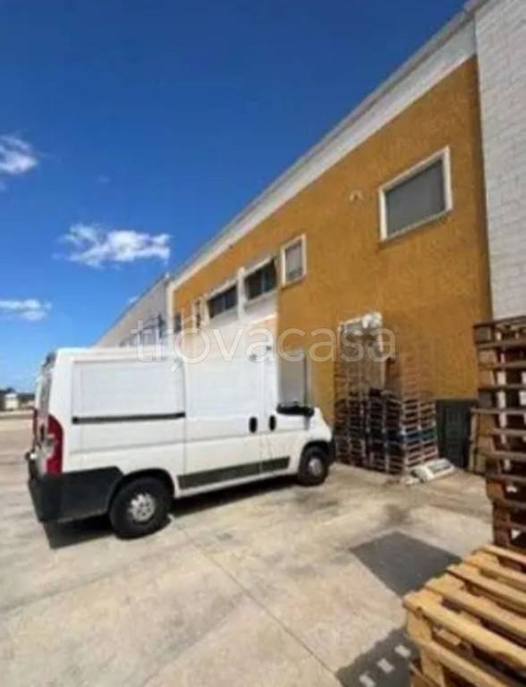 immagine annuncio 6 di 12