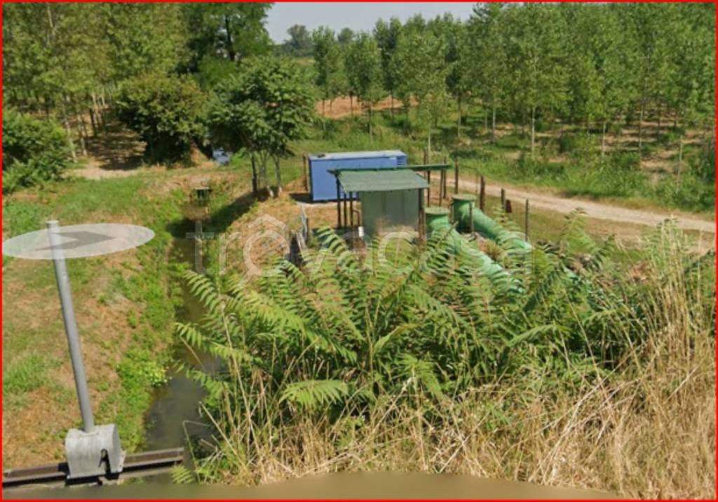 immagine annuncio 4 di 12