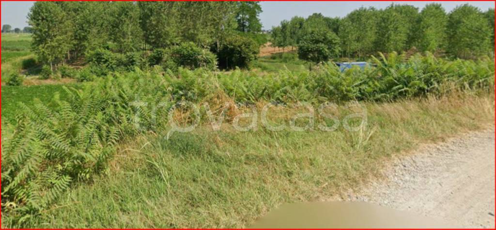 immagine annuncio 5 di 12