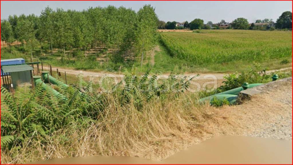 immagine annuncio 7 di 12