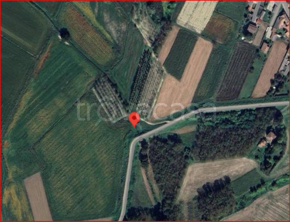 immagine annuncio 11 di 12