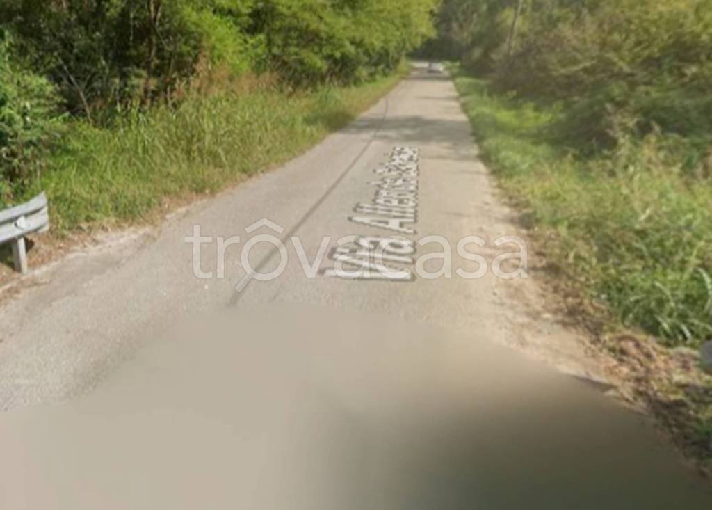 immagine annuncio 3 di 11