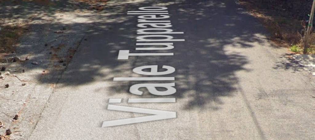 immagine annuncio 5 di 11