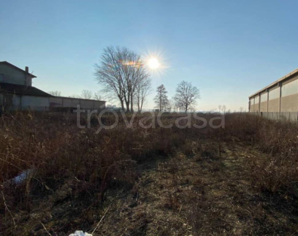 immagine annuncio 3 di 11