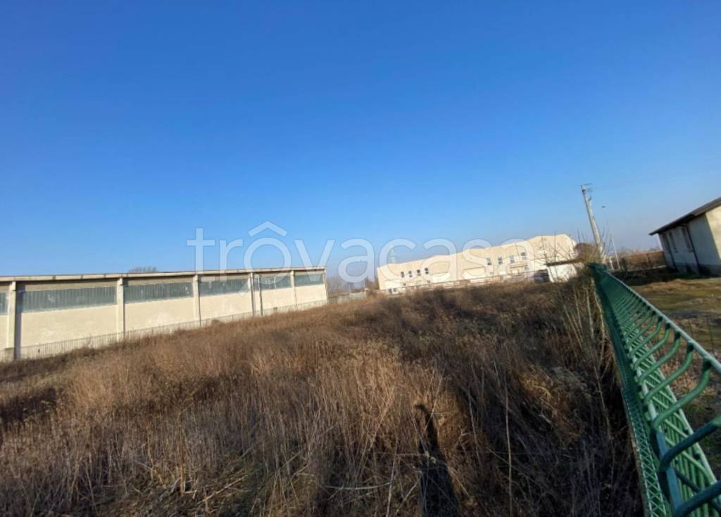 immagine annuncio 4 di 11