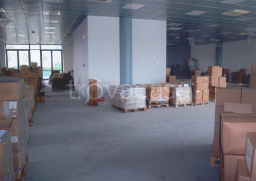 immagine annuncio 5 di 11