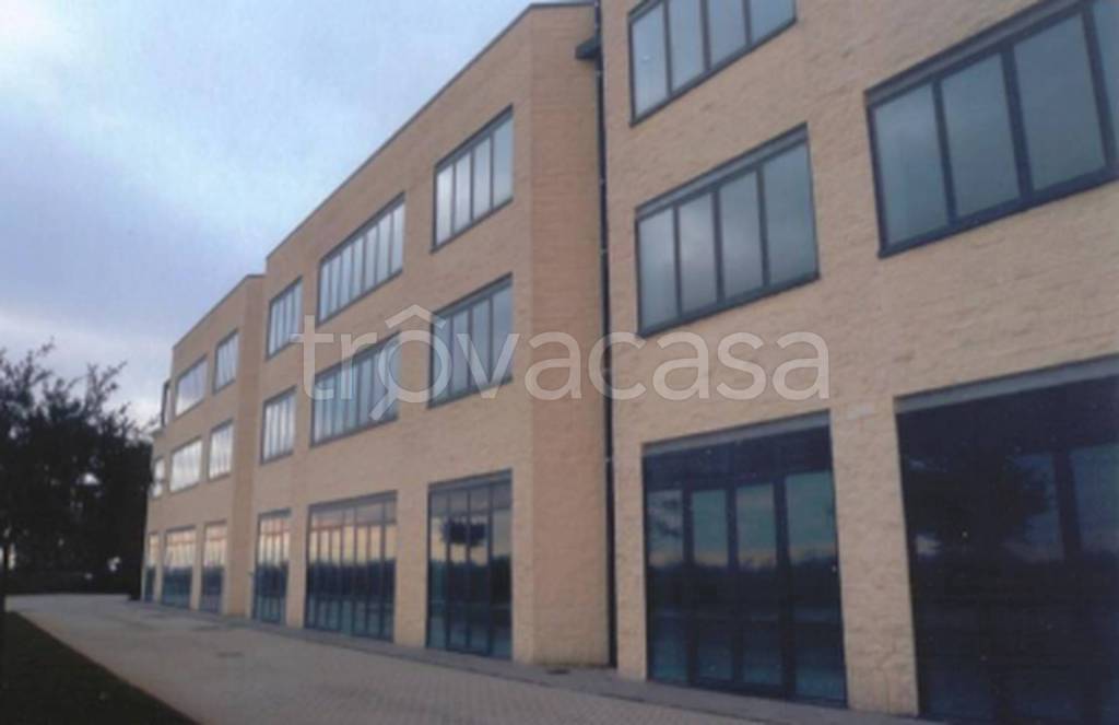 immagine annuncio 10 di 11