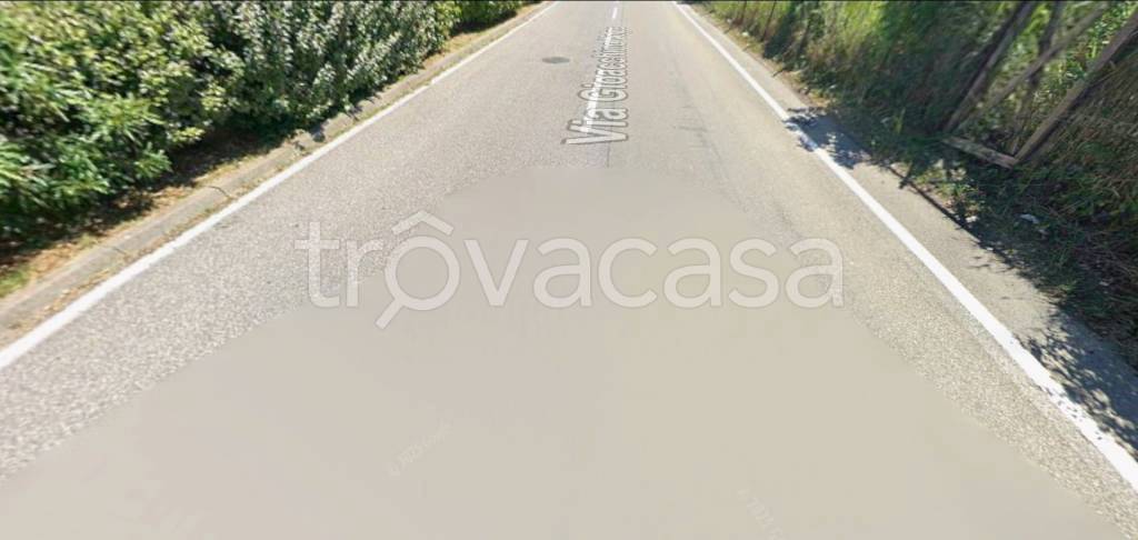 immagine annuncio 12 di 14