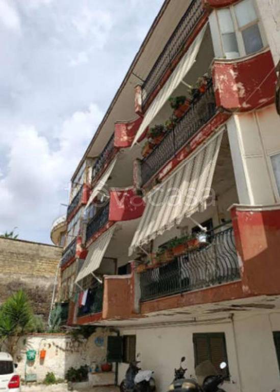 immagine annuncio 2 di 12