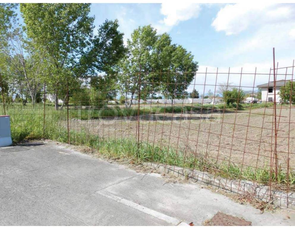 immagine annuncio 2 di 10