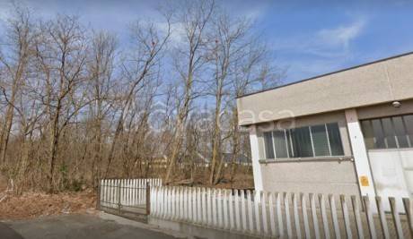 immagine annuncio 2 di 3