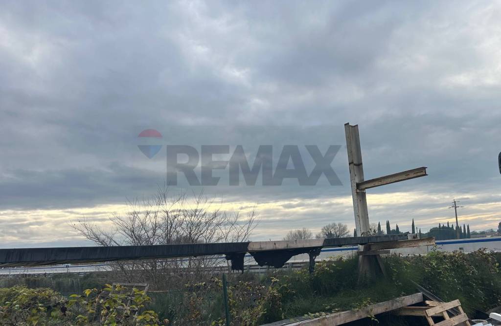 immagine annuncio 3 di 8