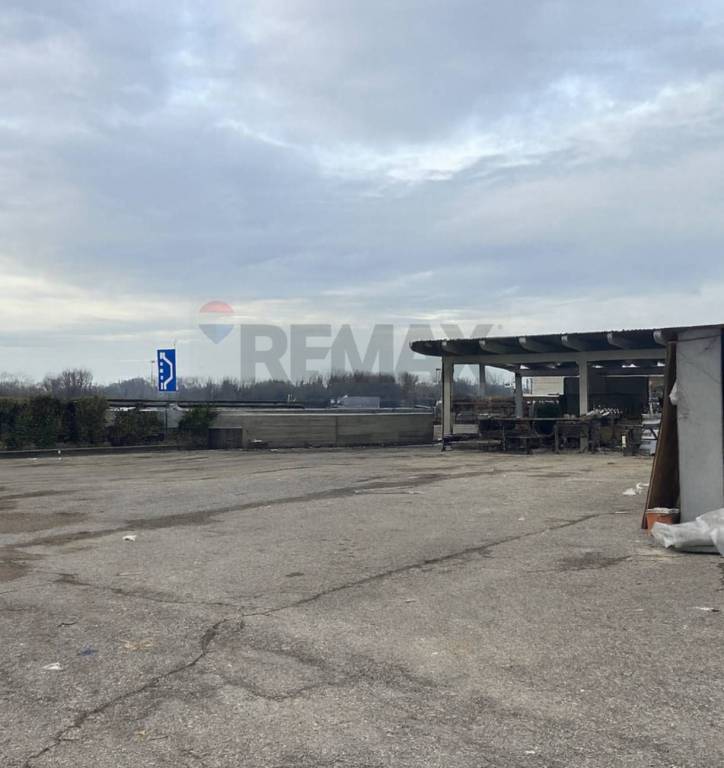 immagine annuncio 4 di 8