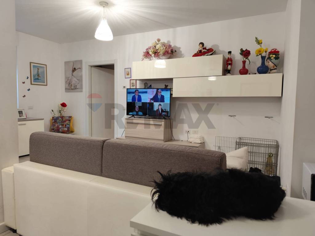 immagine annuncio 2 di 12