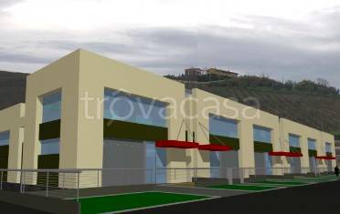 immagine annuncio 1 di 4