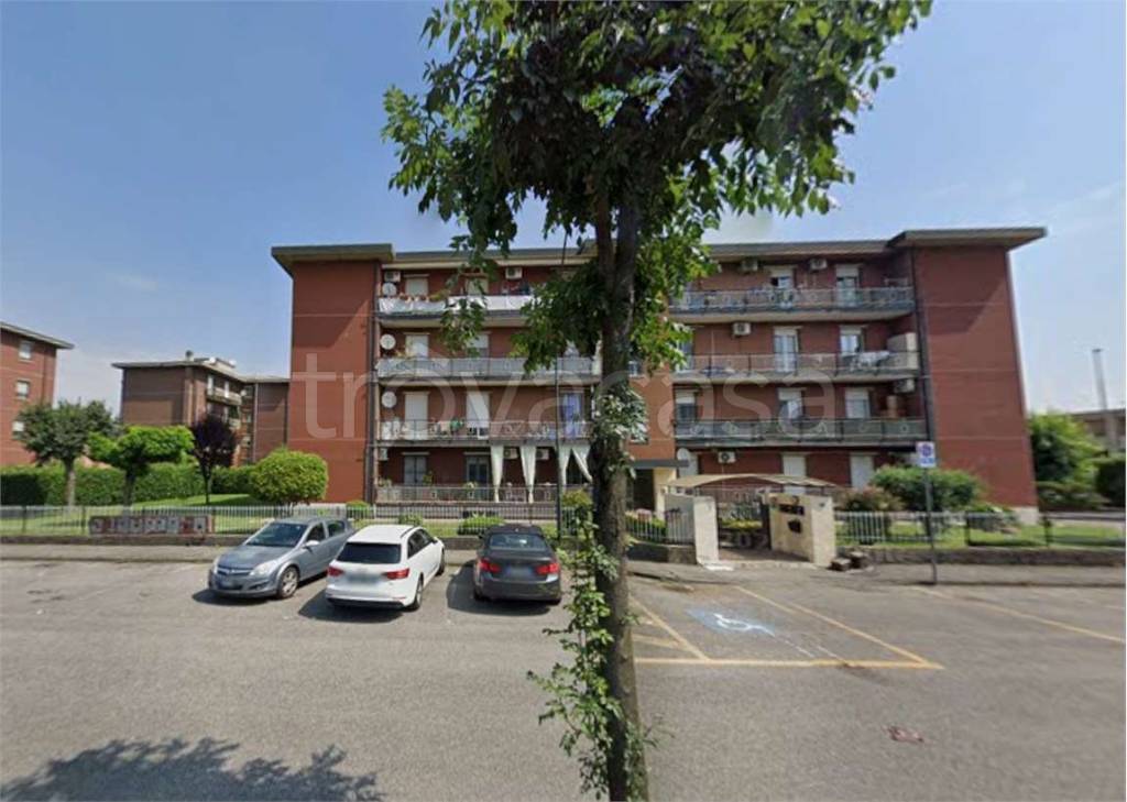 immagine annuncio 4 di 15