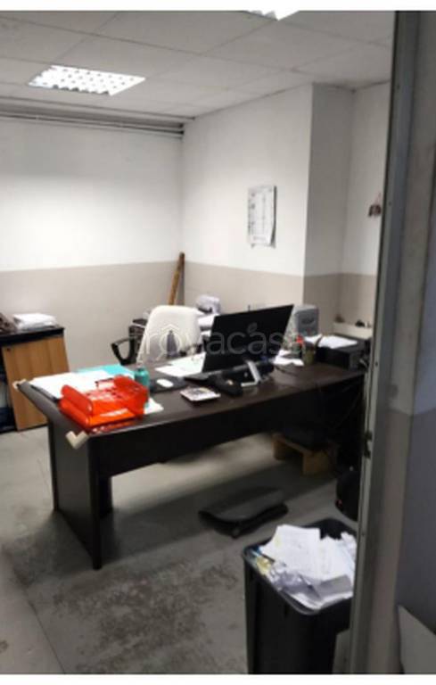 immagine annuncio 9 di 11