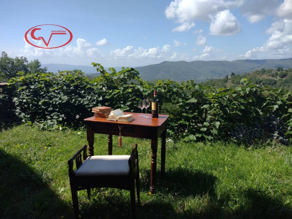 immagine annuncio 10 di 14