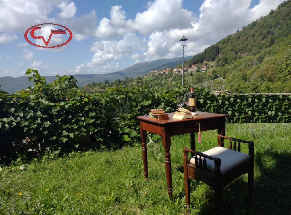 immagine annuncio 11 di 14