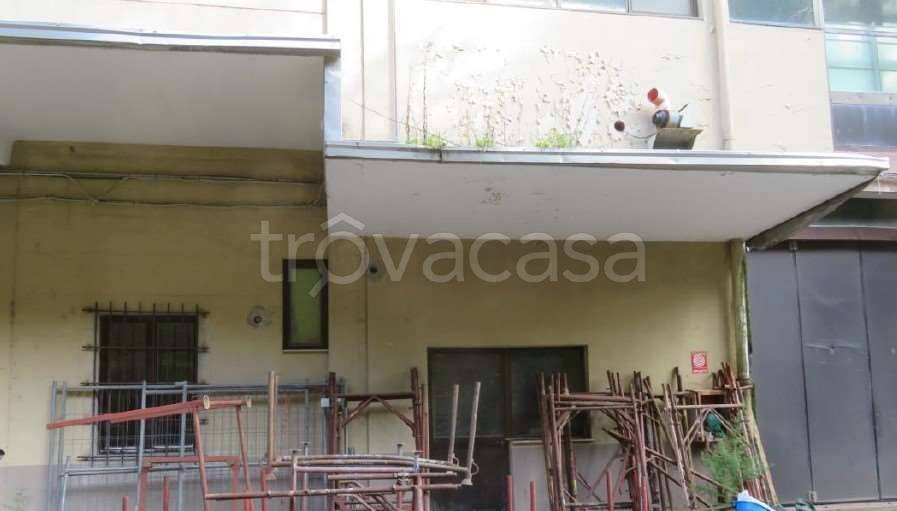 immagine annuncio 1 di 14