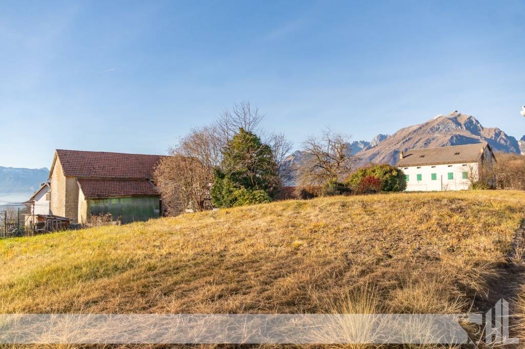 immagine annuncio 4 di 7