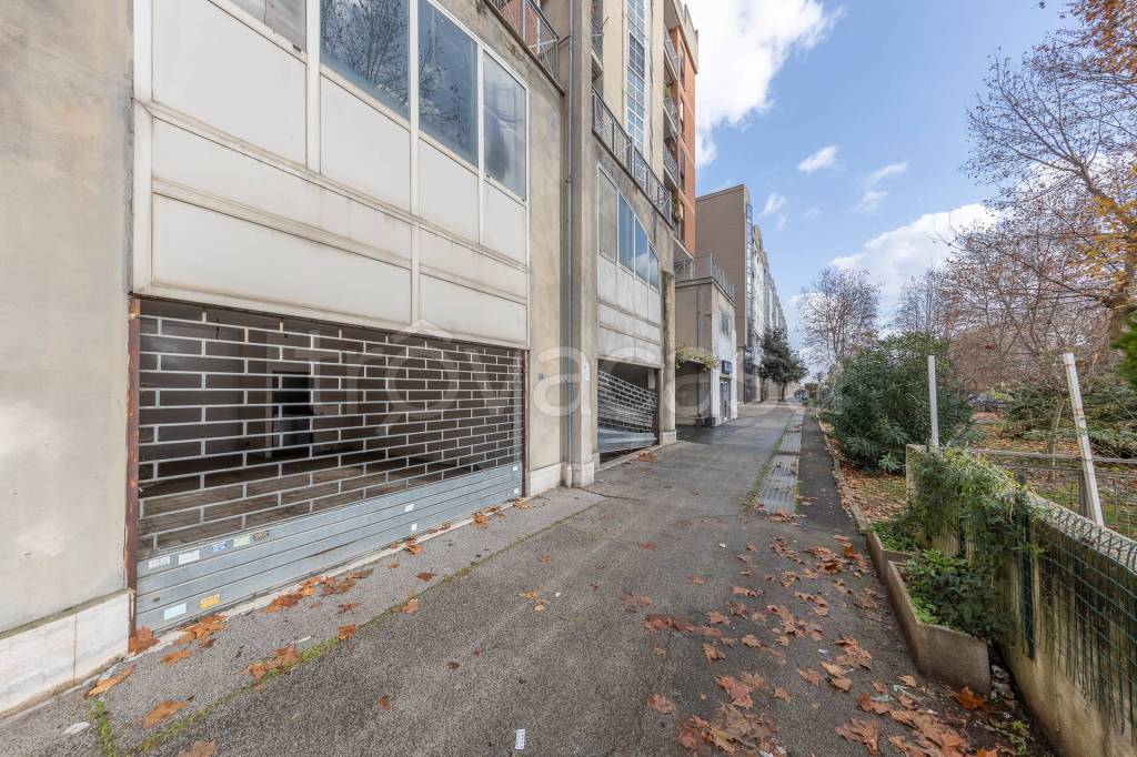 immagine annuncio 1 di 12