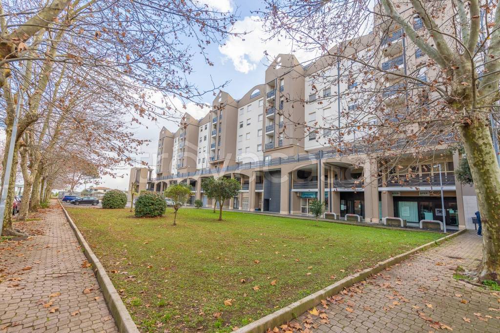 immagine annuncio 7 di 12