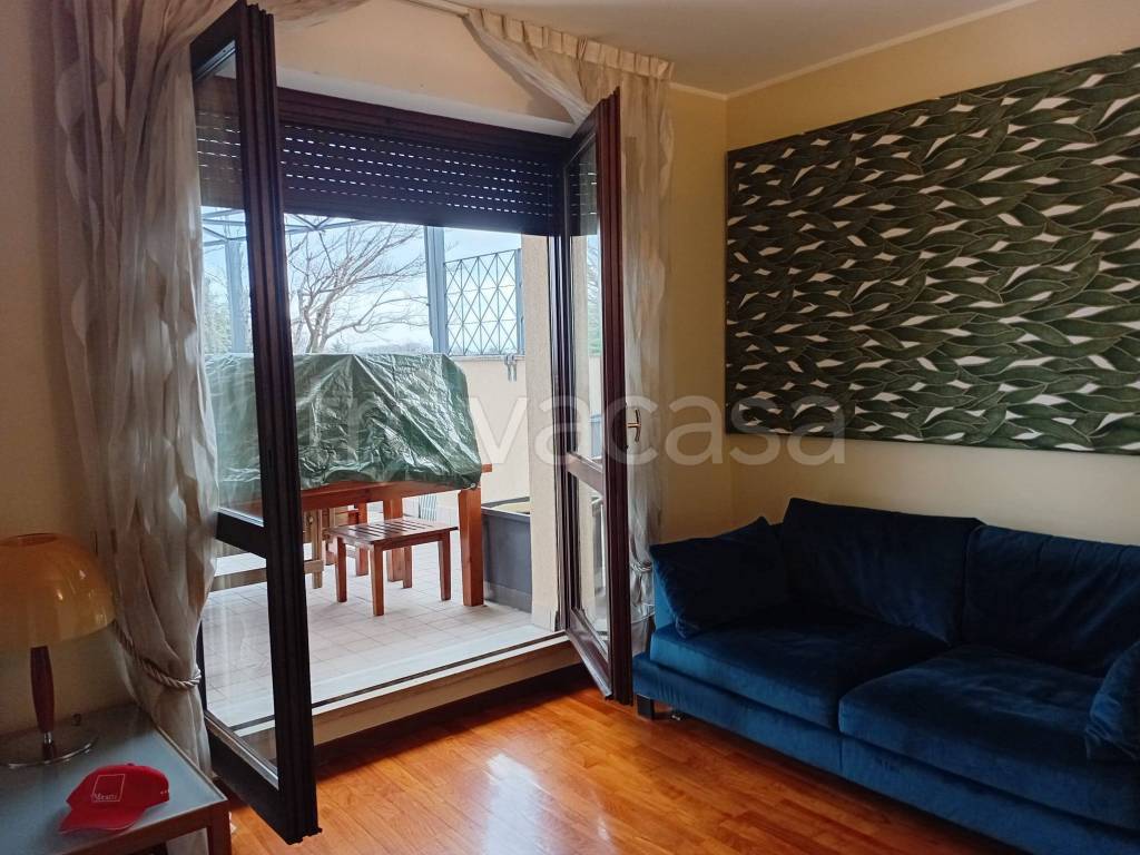 immagine annuncio 4 di 15