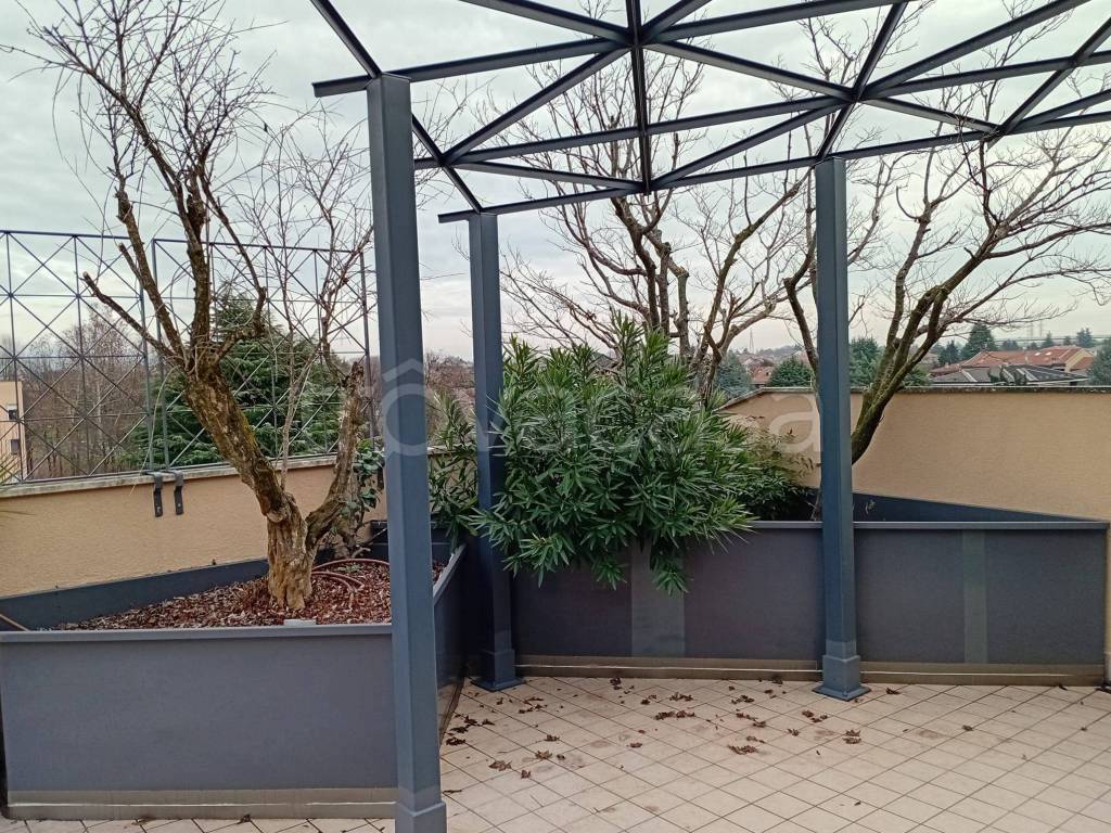 immagine annuncio 8 di 15