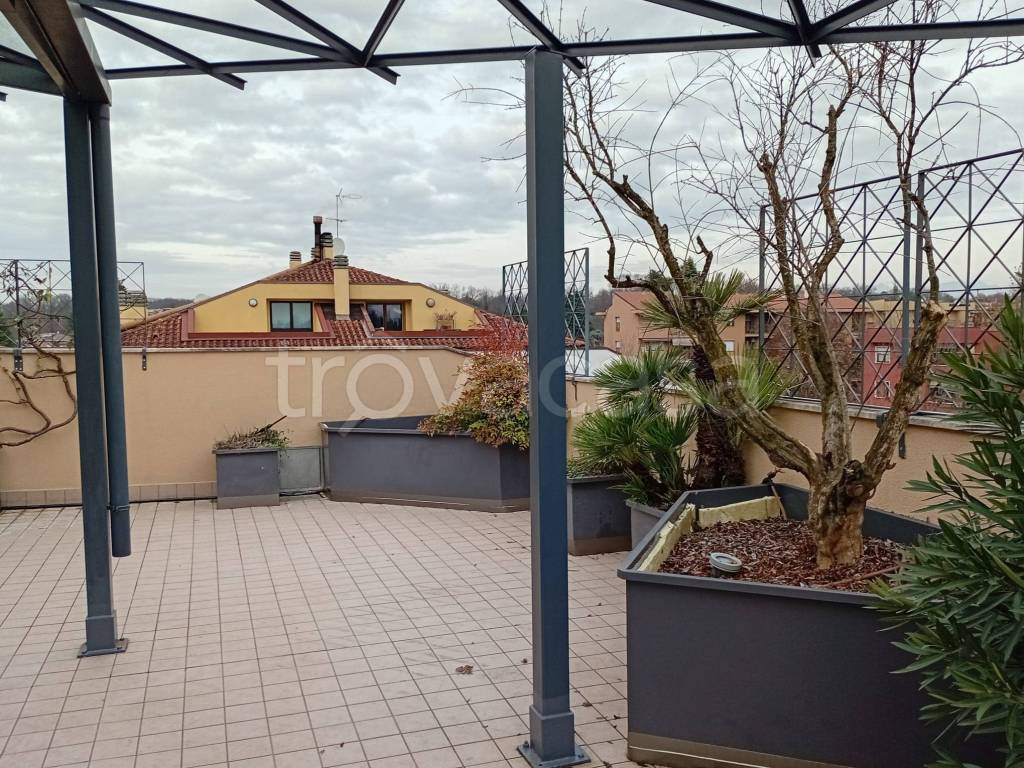 immagine annuncio 9 di 15