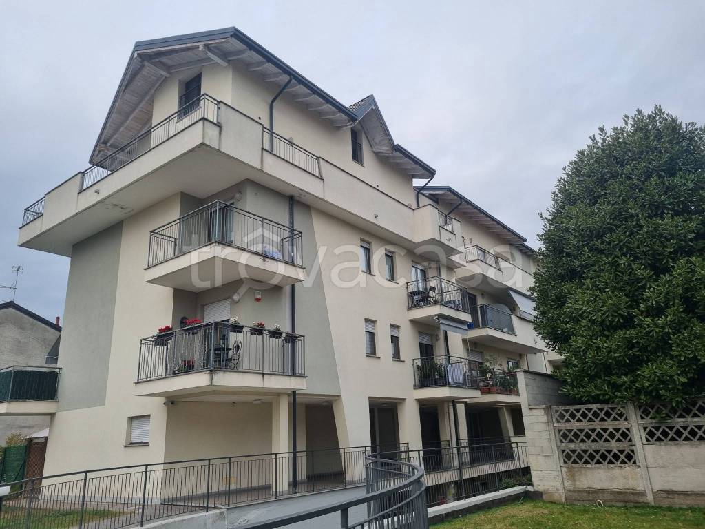 immagine annuncio 9 di 15