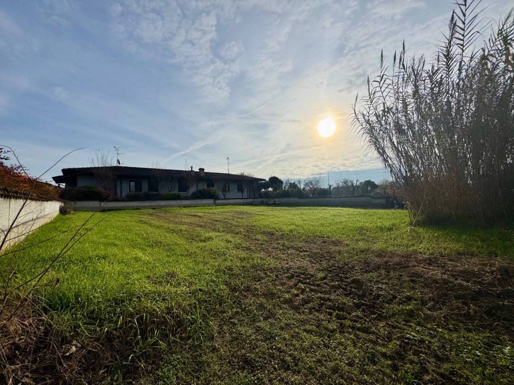 immagine annuncio 4 di 6