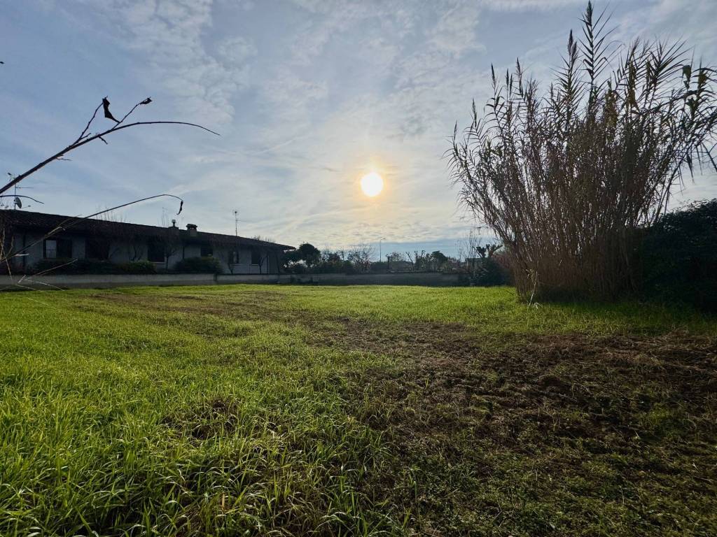 immagine annuncio 5 di 6