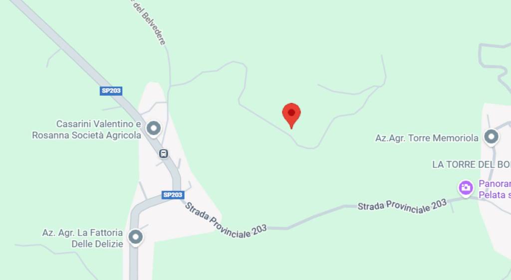 immagine annuncio 9 di 13