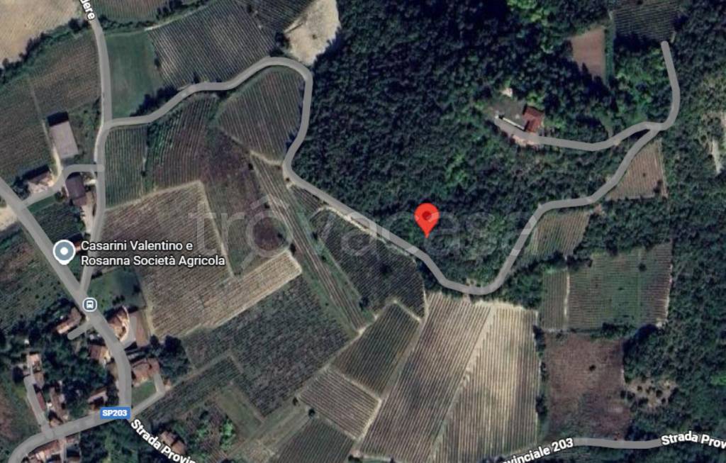 immagine annuncio 12 di 13