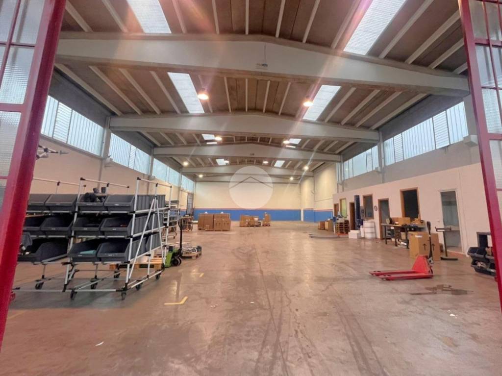 immagine annuncio 5 di 15