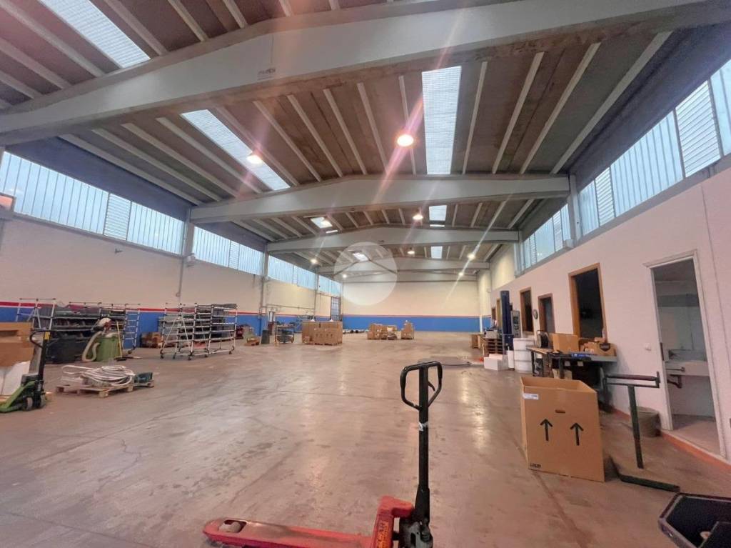 immagine annuncio 9 di 15