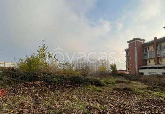 immagine annuncio 1 di 6