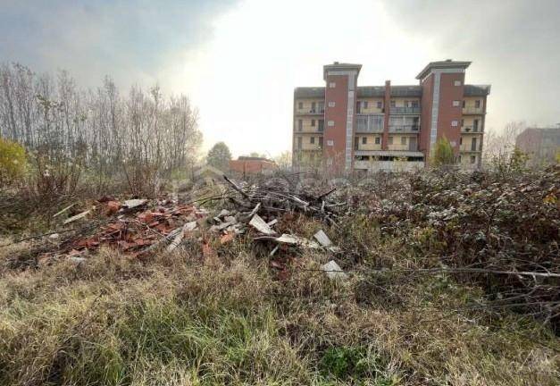 immagine annuncio 2 di 6